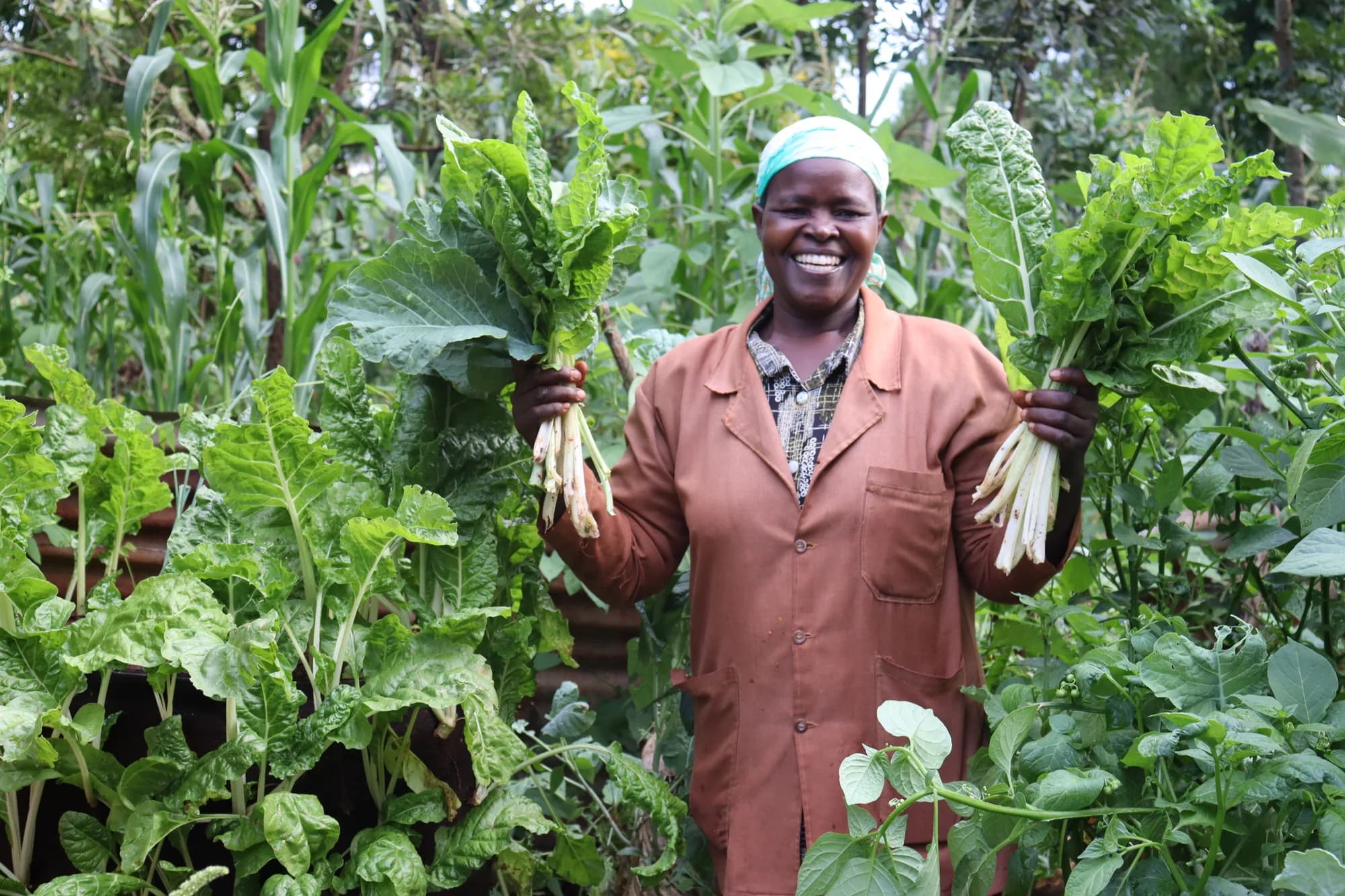 Community inclusion and livelihoods at DOMSPARK